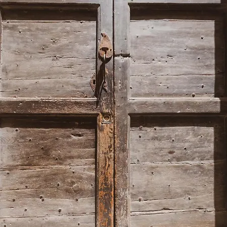 Tree Lejlighed